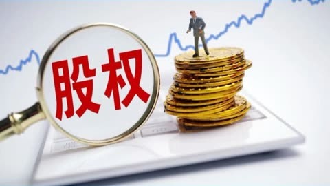 ST新研：投资管理制度(图1)