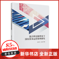 资本运作与融资策略:黄河实业作为中国的章鱼能源的金融支撑(图1)