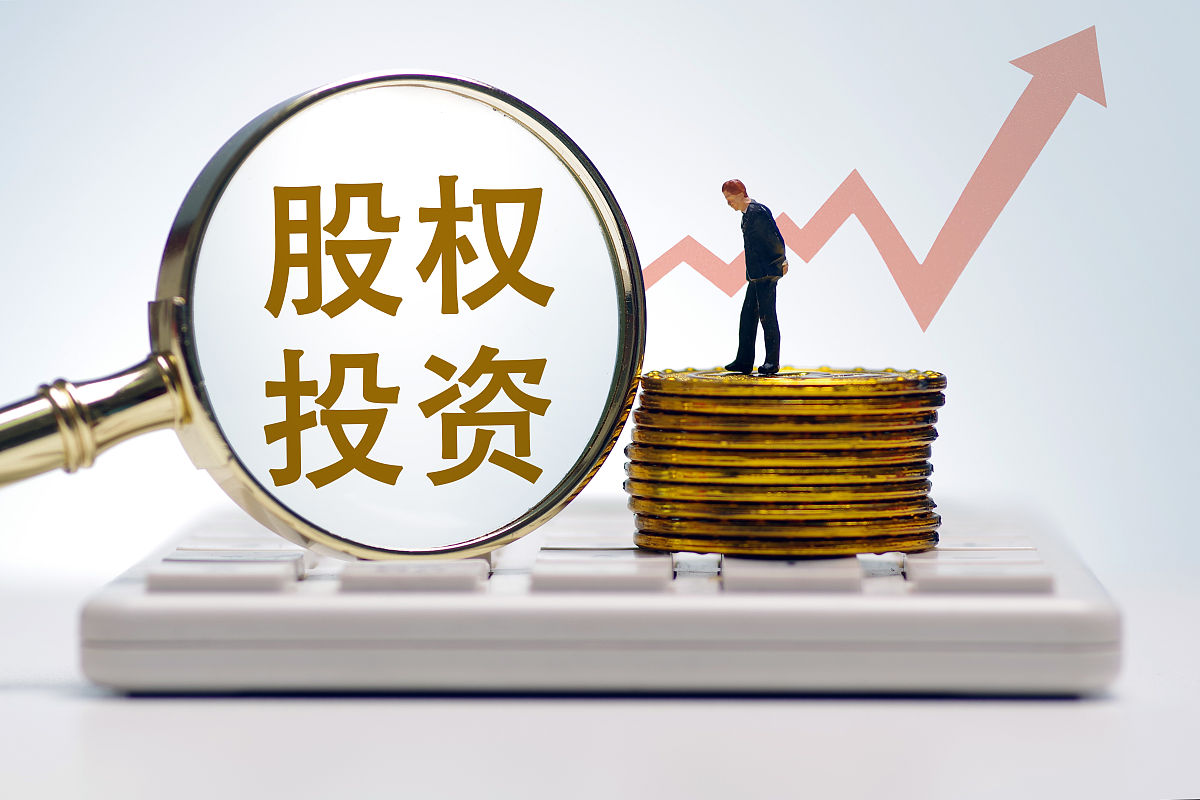 什么是股权投资docx(图1)