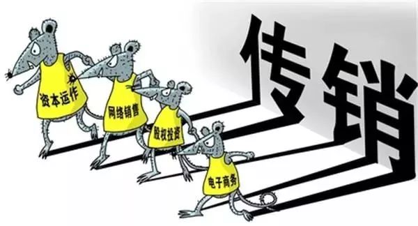 源飞宠物(001222SZ):拟与专业投资机构共同投资合伙企业(图1)