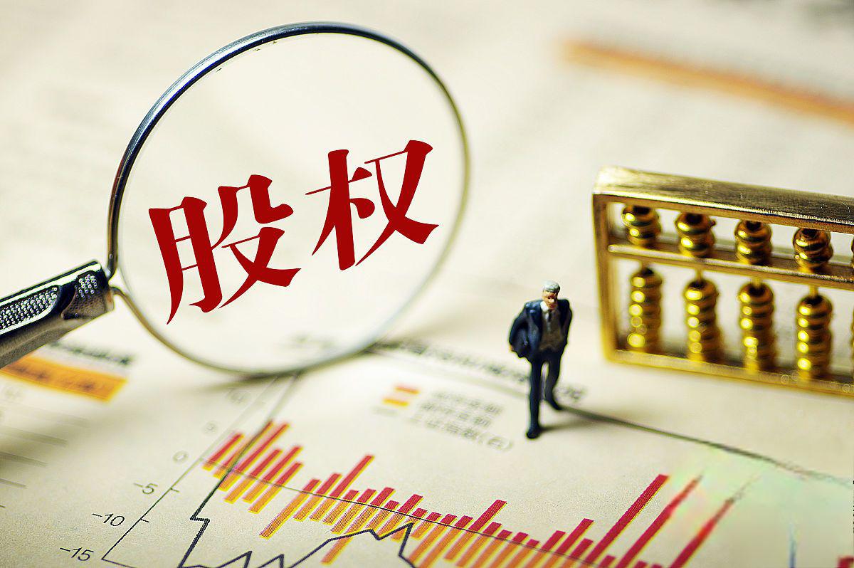 兆易创新(603986SH):参与投资境外私募股权投资基金(图1)